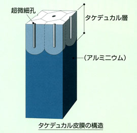 タケデュカルとは？