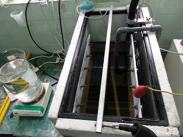 実験用アルマイト槽 膜厚 5~40μm